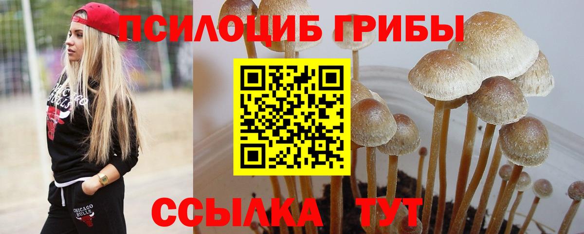 Псилоцибиновые грибы мухоморы  Вход с VPN  Сергиев Посад 